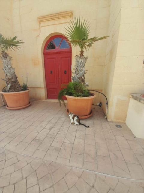 East Breeze Penthouse Apartamento Mgarr Exterior foto